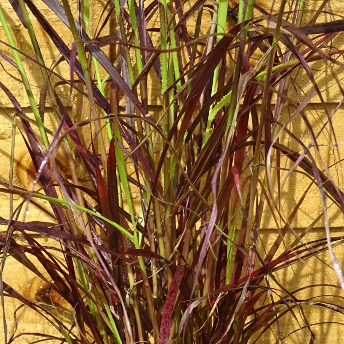 2f9a762c-579d-4320-8fab-b194c8ce4105