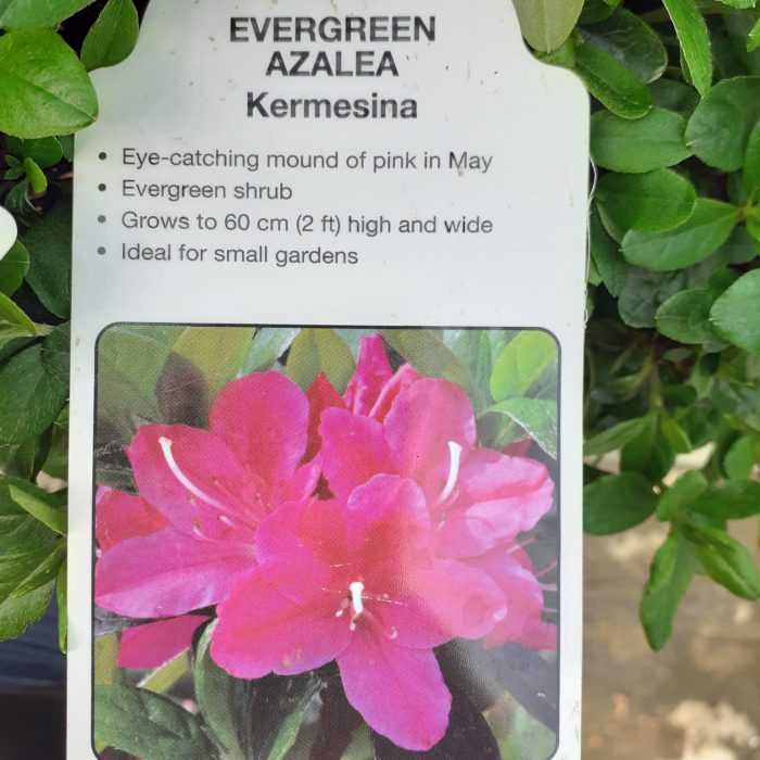 4bb18f51-182f-4976-b2ba-dae545051f77