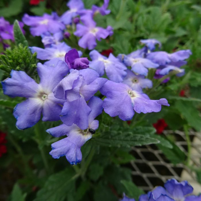 9f1b2a02-913a-4d36-8e83-58b9cb6ef2d6