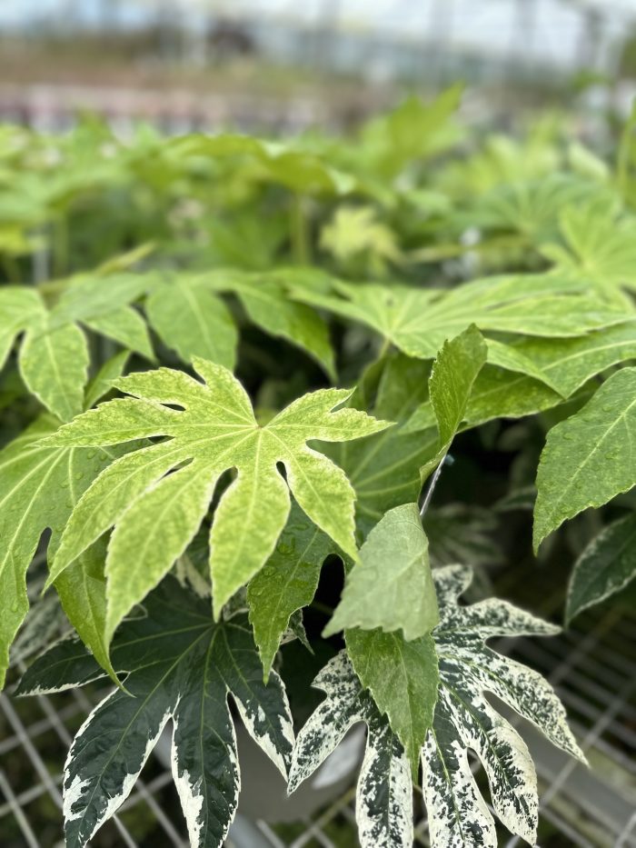 6d137c3d-e5ed-4c4b-aca8-9d19f52c4a25