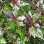 b3692963-ab9f-4f22-b1c4-f41739ff44df