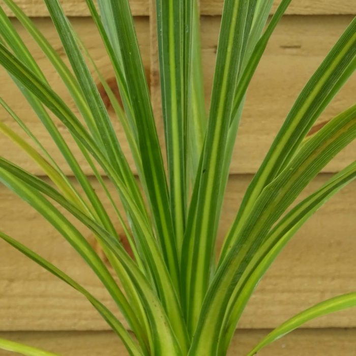 61f91fa2a3cb621af75d15338b78eb75.jpg 2dfeaa6a-0810-4fd9-9a63-b4069e3d83f9