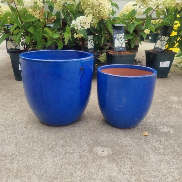 99766d41-95ad-4c8b-922c-da616218d339