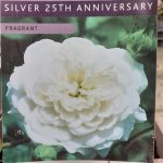 f31126ac-fda3-450e-b2d8-f96e6ef958fb