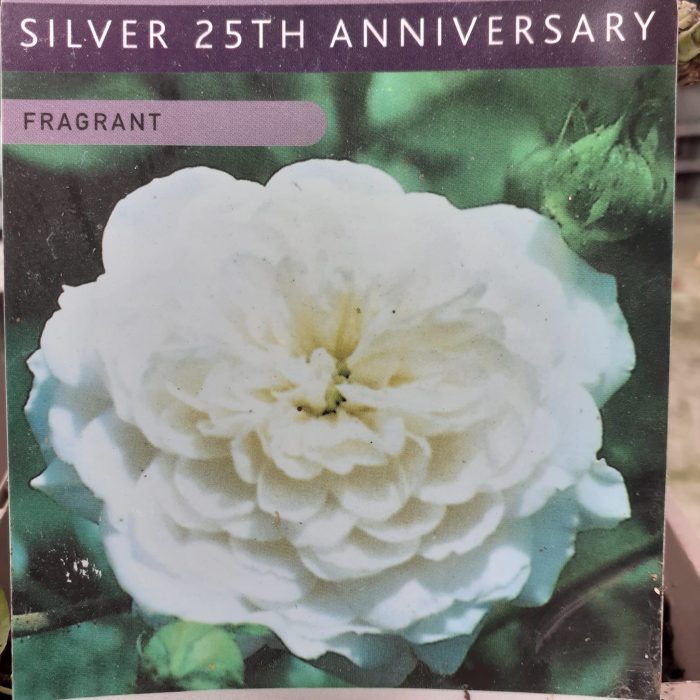 f31126ac-fda3-450e-b2d8-f96e6ef958fb