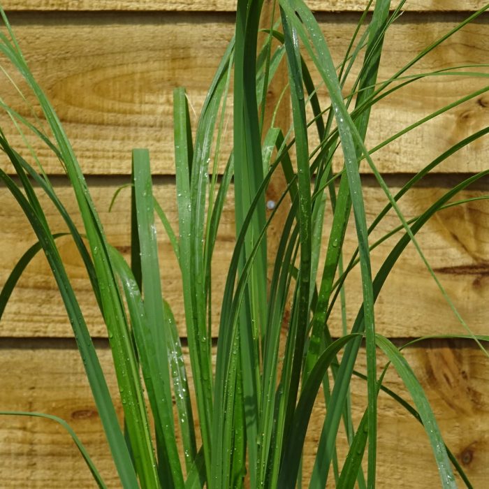 8e37773b-44af-40f5-9a5f-9f5e2c3a31cc