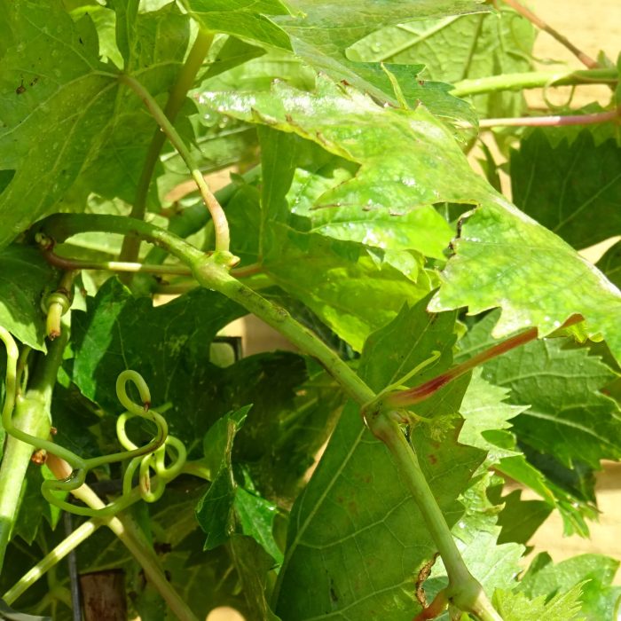 7de45b92-bfda-4cea-860f-9c86c4cf226e