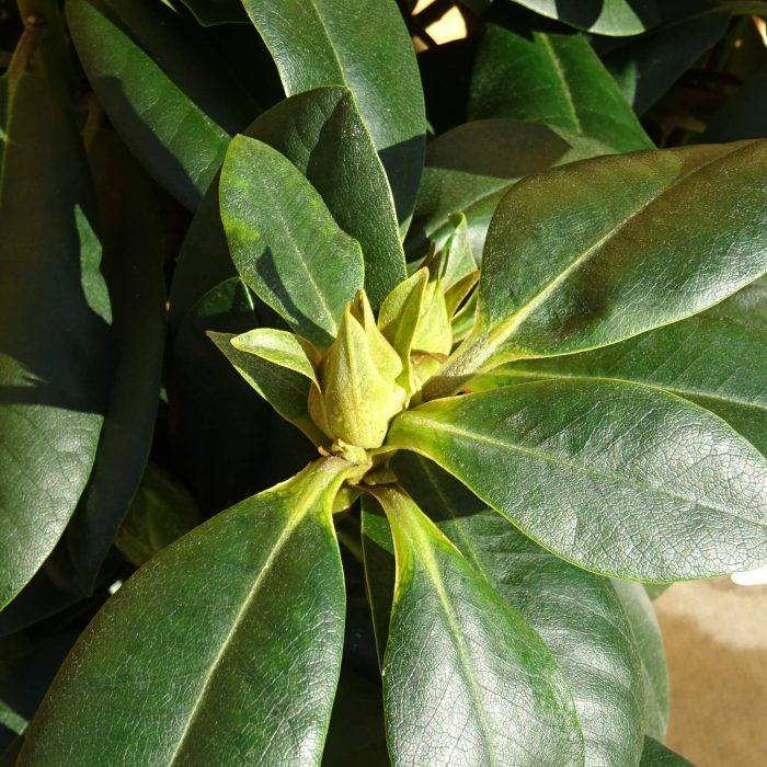 f83dab68-37a6-4929-a8d8-15c36cd1dfaf