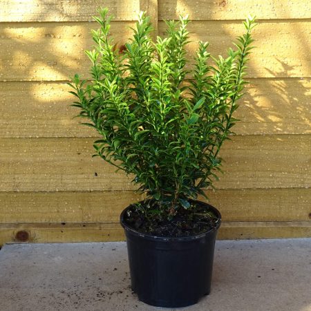 69306d1e-b55c-42b1-83b6-9988f6f259ed