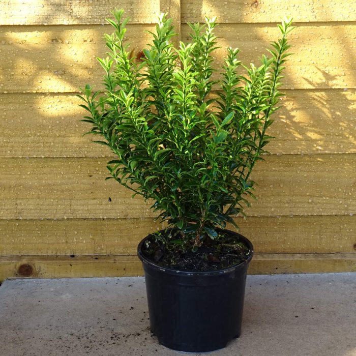 69306d1e-b55c-42b1-83b6-9988f6f259ed