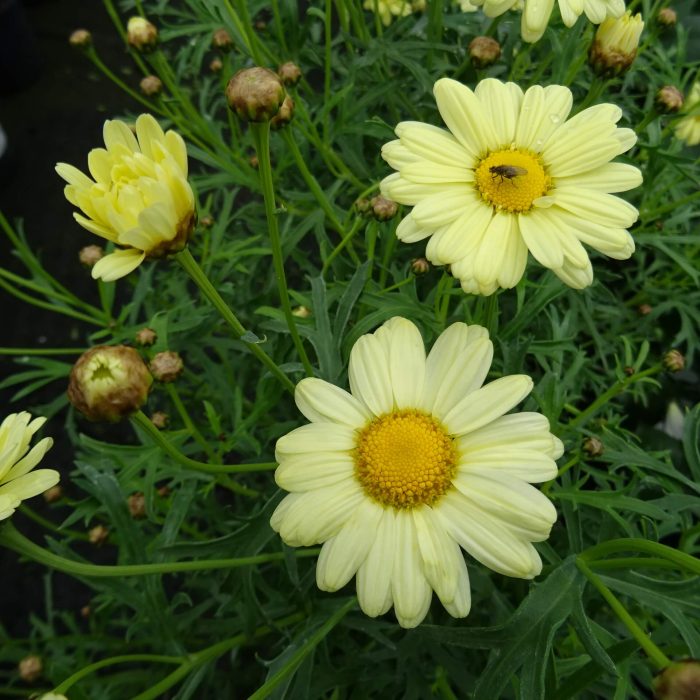 aab8b9ef-6370-4dd7-93da-30126e817c0c