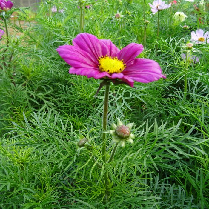 58c04f51-a8cf-429c-bd58-726153fe2a9c