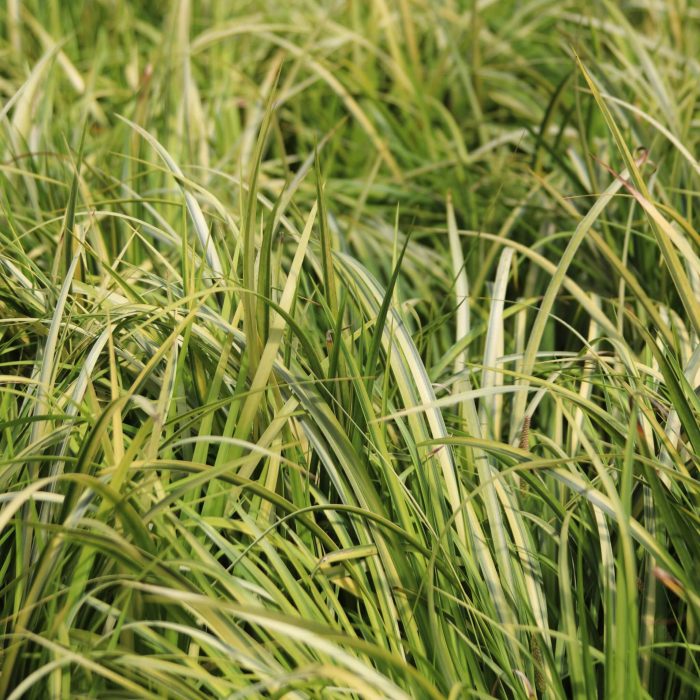 63e3e5d740aa44d33166f293dbe4414c.jpg 6aa4f7f8-cd6f-4207-a429-43e8d5f90f24