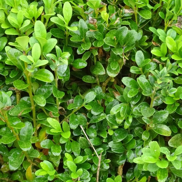 d127cb6f-3d8a-408c-8fa7-0c1104107cc1