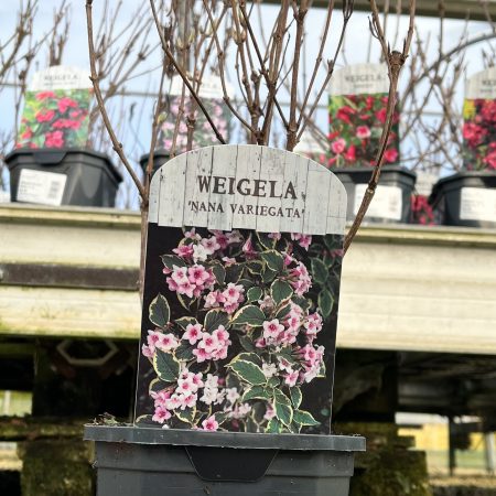 2252f1c8-3ada-4eea-b7b2-ab4c019ffd5c