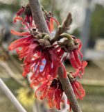 55a1b1dc-12da-422d-bb0a-e31355547470