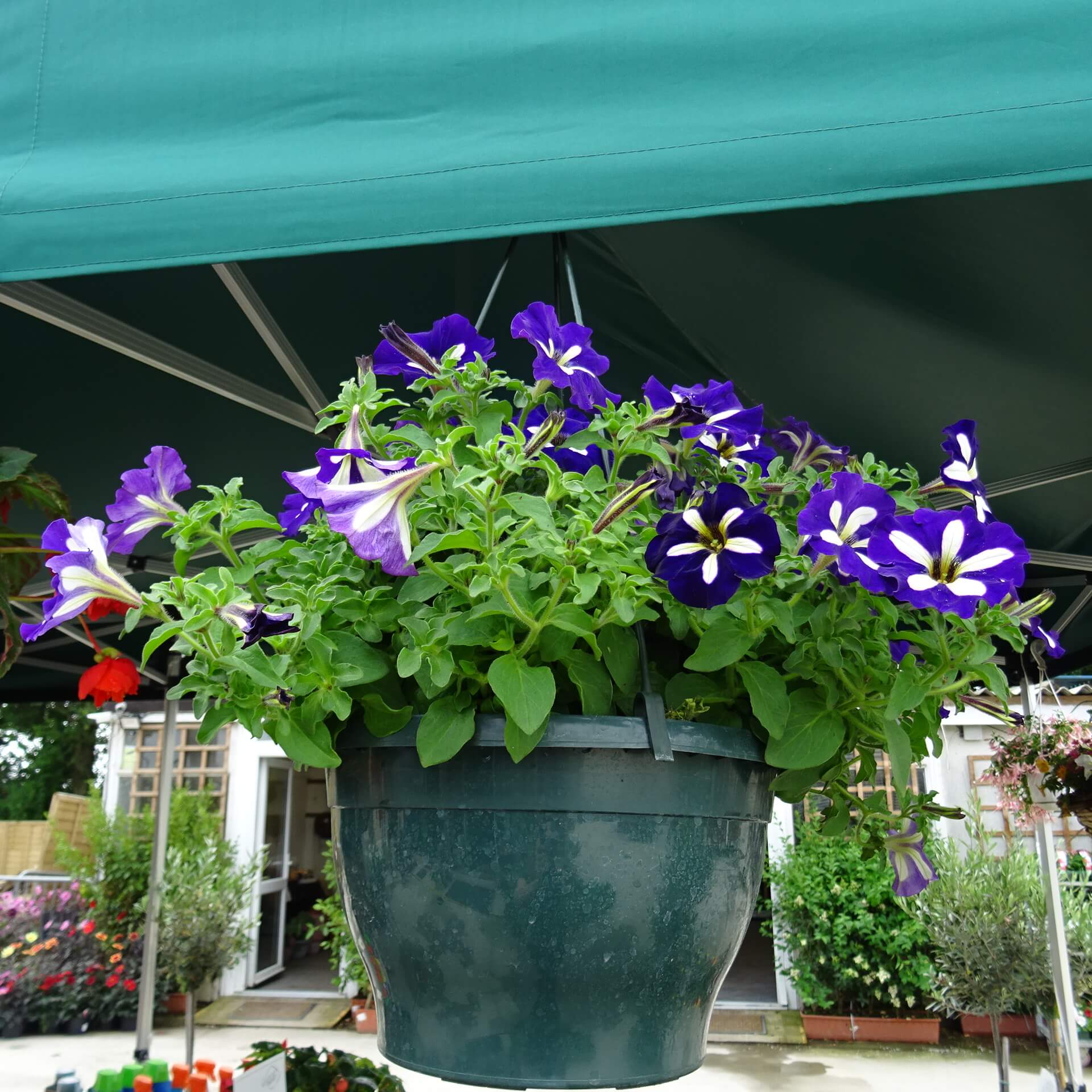 65f235fe054009e9d74409c9b9fd48b5.jpg f21dae99-0ac6-4cef-b886-cfb184ef5379