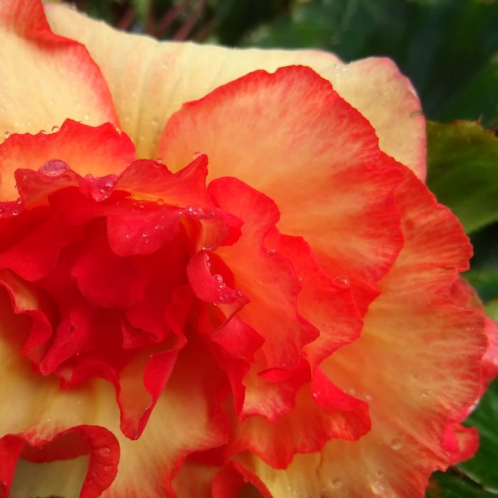 d22ab4b4-f604-4321-b467-3f7741438cf8