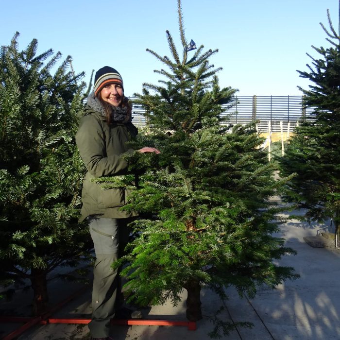 66fa7f2331c44bf13084f2efdae9b17e.jpg ccfa427a-08a9-4543-b2cd-2cbc80346133