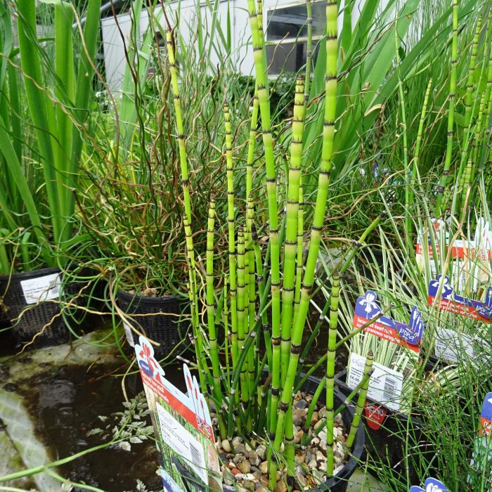 f3c10e61-2320-49ca-8608-1a183f1eafbe