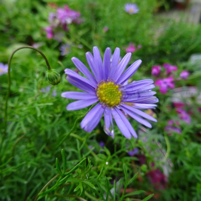 f80523ca-6918-4585-924a-af96adacfb4c