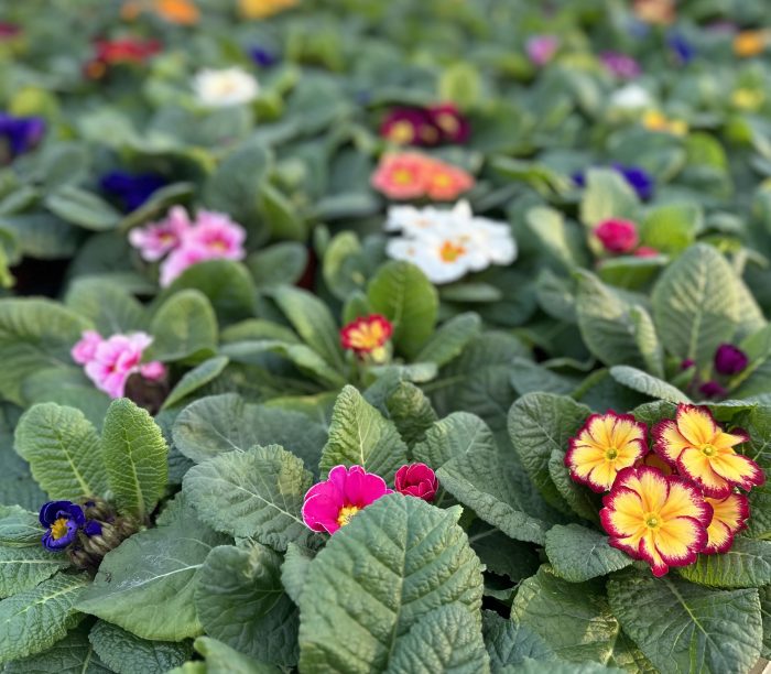 f41db065-a3dd-44df-bbc0-391c99ef0ce4