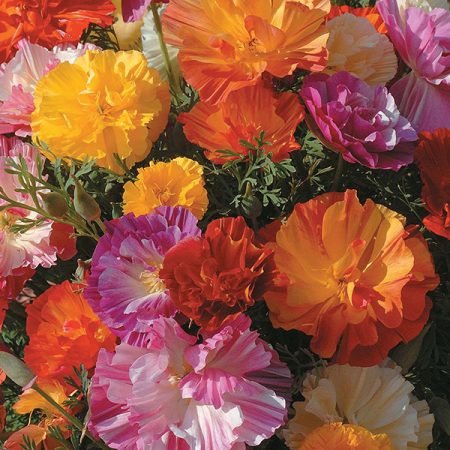 e4b4b06b-bd6e-4305-8f9f-c760d2419b48