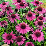 2eb0be4c-402e-426e-9e11-994c8b32765c