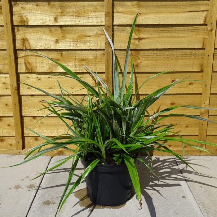 683d967c46cba64c60e530fd0ac13024.jpg 56fcd48f-34d9-42f5-9a05-c680a36359a3