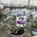 a17c0289-92c0-4655-9ada-2bb4096447a1