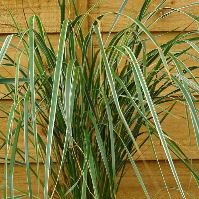 454cff04-5bb1-441d-b853-933c39144e7c