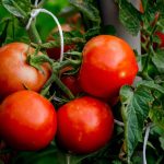 ba1a6a0b-9a0a-402e-a8d9-20d38cb17990