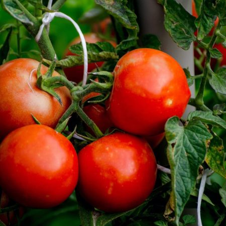 ba1a6a0b-9a0a-402e-a8d9-20d38cb17990