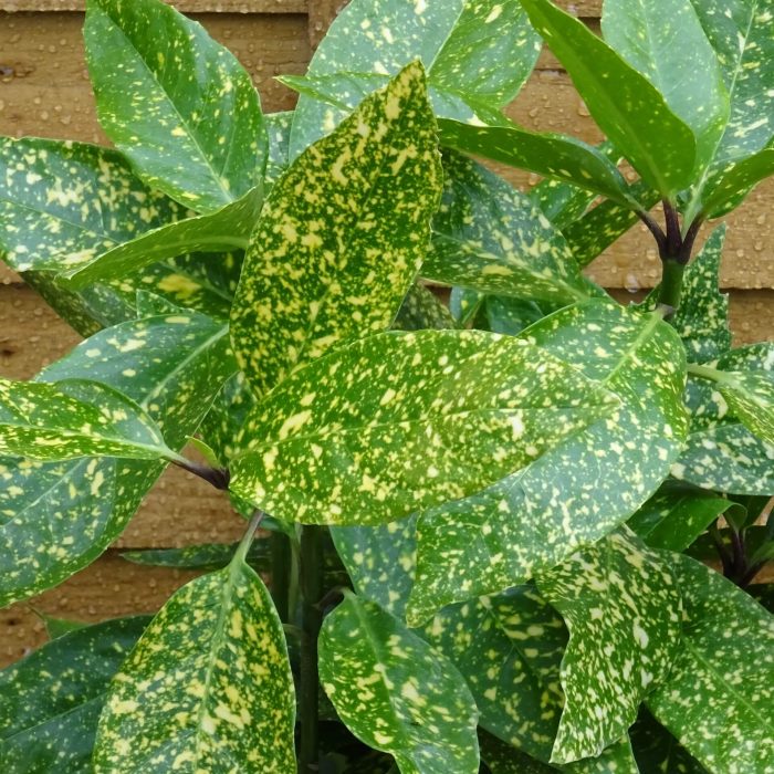 698d294f1f4be04e0085a4b7586eee65.jpg 21df2ea4-76d2-4d1a-b209-f831873b7c71