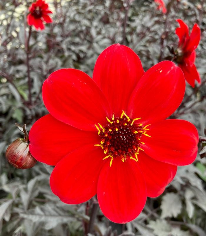 fb5a6079-acae-4c79-9128-1422287906c4