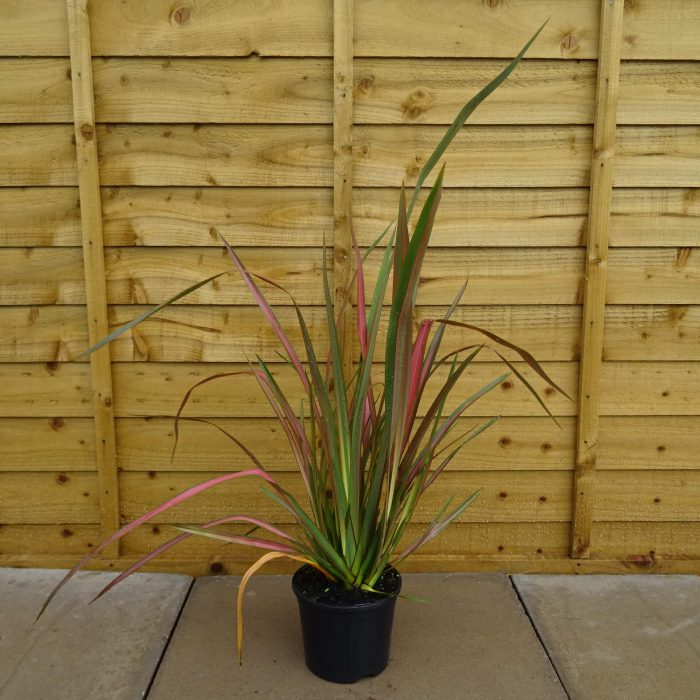 aea05455-6530-4126-b2ac-6561dab8e09c