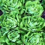 4dc31d43-ad96-4fe5-bc22-7bad3b49ed3e