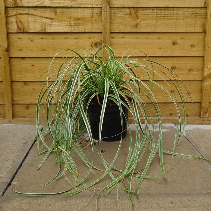 176ce654-a42e-4ef9-b6ac-fa02b5a016fb