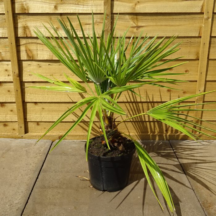 f887c2f0-b7c9-41e8-87a2-1ad31ebf2499