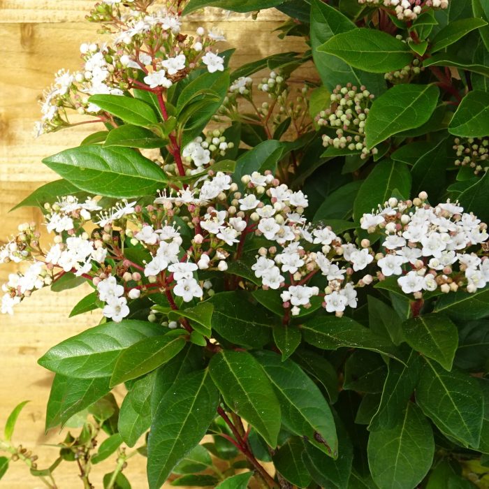 852c12a9-884d-49cb-a565-e0a68b1c346f