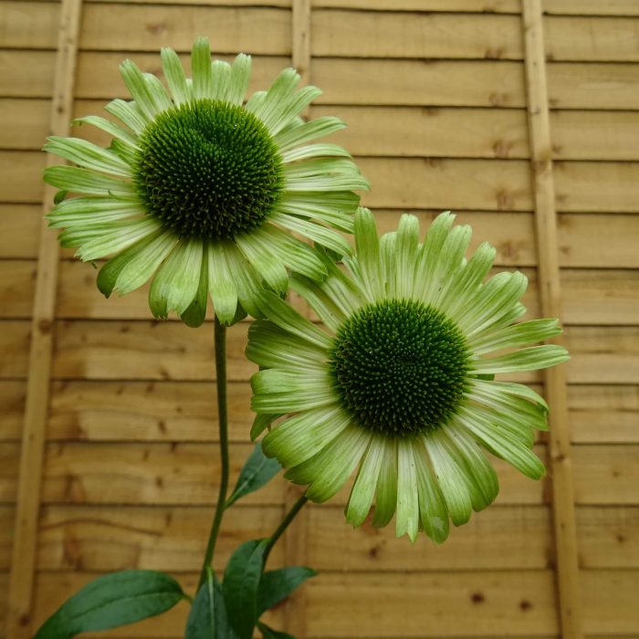 6b53f935a269d97d3d422783dd9fe2e6.jpg a147fdd5-d709-402e-bb4a-fb9793e53bdb