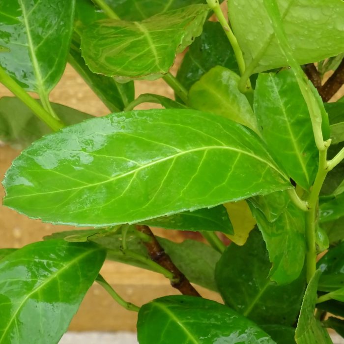 37956e62-efb8-48ac-a886-72b8c63dff8c