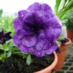 391293c3-a956-486e-884b-13055ab21f1e