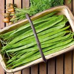 ca438c20-59dd-4898-a2e3-738f4064d175