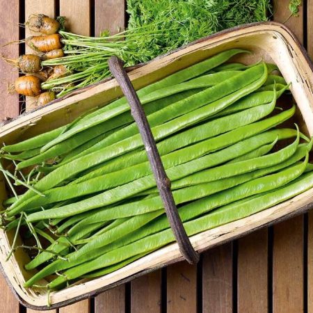 ca438c20-59dd-4898-a2e3-738f4064d175