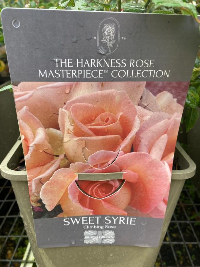 9f5563cc-041d-4a18-b324-f911f3af566f