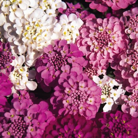 61e2f665-bb25-4161-af49-636cd5ab78b8