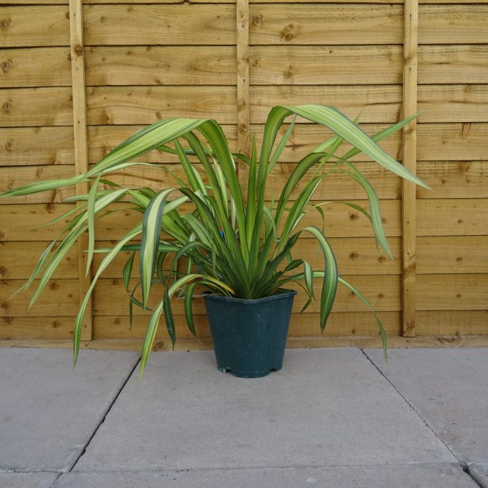 8c625a17-5c44-4221-bc10-e0eac19cc421