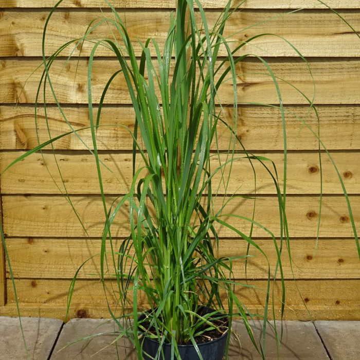 d5d37619-1c10-465a-ae3e-6f62de573cff