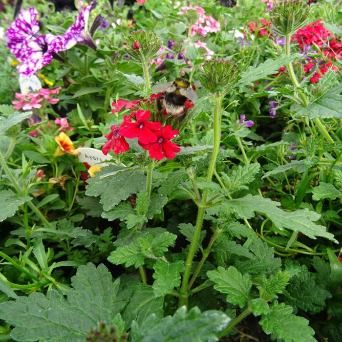 34619a5b-43c7-44bc-9fb6-3a2eb85245df